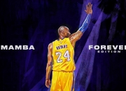 PG电子游戏-凯塞多的稳定哲学，当阿根廷淘汰爱尔兰，我们看到了什么叫做不掉线的胜利